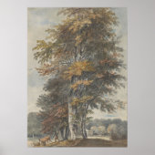 Beukenboom, man, runderen en schapen,  poster (Voorkant)