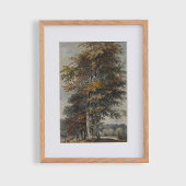 Beukenboom, man, runderen en schapen,  poster