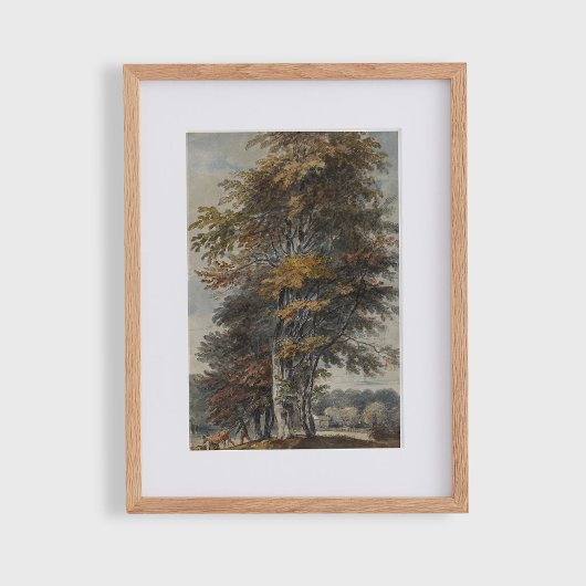 Beukenboom, man, runderen en schapen,  poster