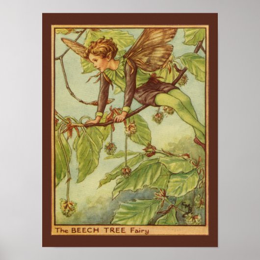 Beukenboom — Melk van Vision Studio Poster (Voorkant)
