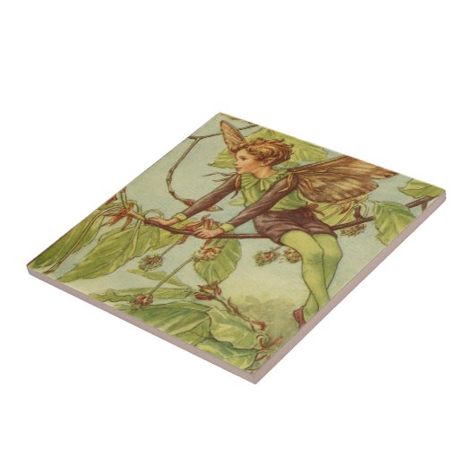 Beukenboom — Melk van Vision Studio Tegeltje (Zijkant)