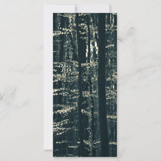 Beukenbos Natuur fotokaart (Voorkant)