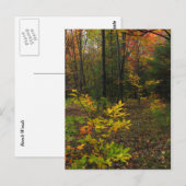 beukenBossen Briefkaart (Voorkant / Achterkant)