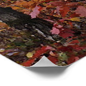 Beukenbossen Poster (Hoek)