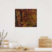 Beukenbossen Poster (Keuken)