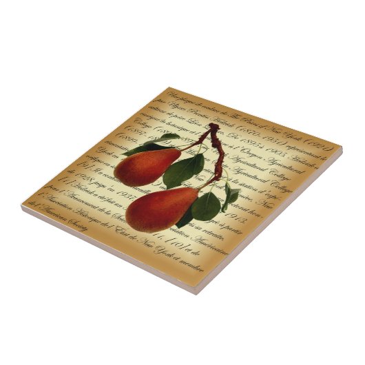 Beurré Clairgeau Peer ~ Ulysses Prentiss Hedrick ~ Tegeltje (Zijkant)