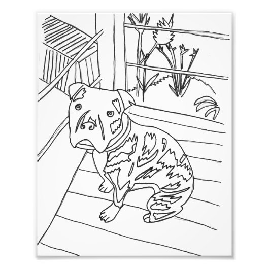 Bev the Pup Print Foto Afdruk (Voorkant)