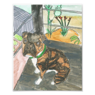 Bev the Pup Print Foto Afdruk