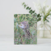 Bevallige chipmunk in zomerse weide ansichtkaart feestdagenkaart (Staand voorkant)