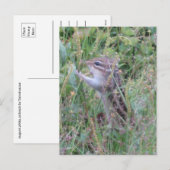 Bevallige chipmunk in zomerse weide ansichtkaart feestdagenkaart (Voorkant / Achterkant)