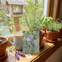 Bevallige chipmunk in zomerse weide ansichtkaart