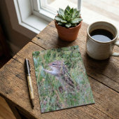 Bevallige chipmunk in zomerse weide ansichtkaart feestdagenkaart