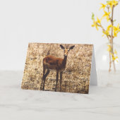 Bevallige Dame (Impala) Kaart (Gele Bloem)