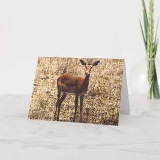 Bevallige Dame (Impala) Kaart