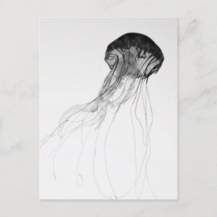 Bevallige Kwallen Briefkaart