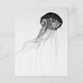 Bevallige Kwallen Briefkaart (Voorkant)