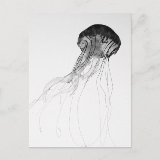 Bevallige Kwallen Briefkaart (Voorkant)