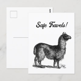 Bevallige Llama-schets, Tekening van een Mooie Die Briefkaart