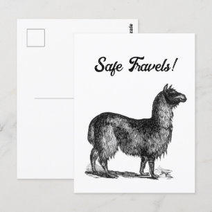 Bevallige Llama-schets, Tekening van een Mooie Die Briefkaart