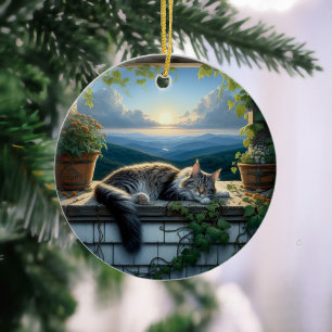 Bevallige Maine Coon Aandenken Keramisch Ornament
