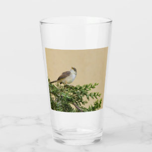 Bevallige Mus Vogel Foto Glas