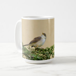 Bevallige Mus Vogel Foto Koffiemok