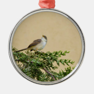 Bevallige Mus Vogel Foto Metalen Ornament