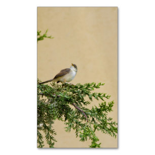 Bevallige Mus Vogel Fotografie Magnetisch Visitekaartje