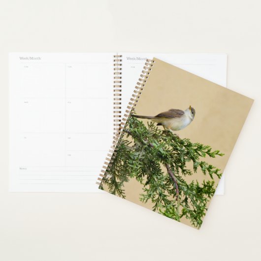 Bevallige Musvogelfotografie Planner (Display)