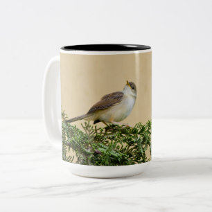 Bevallige Musvogelfotografie Tweekleurige Koffiemok