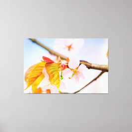 Bevallige Sakura Bloesem En Bladeren In De Lente Canvas Afdruk