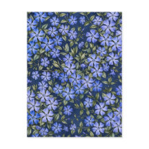 Bevallige verspreide maagdenpalm bloemen diepblauw