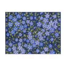 Bevallige verspreide maagdenpalm bloemen diepblauw