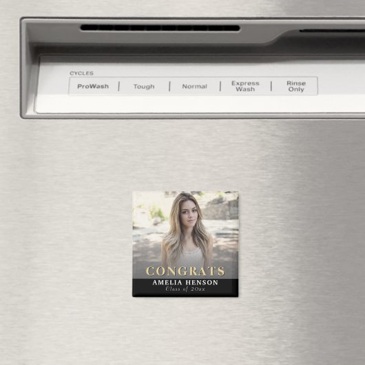 Bevat het Volledige Afstuderen van de Foto Magnet (Insitu (Vaatwasser))