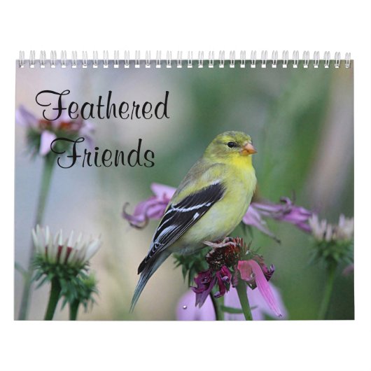 Bevederde Vrienden - Wilde Vogels Kalender (Hoes)