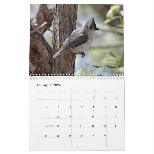 Bevederde Vrienden - Wilde Vogels Kalender (Jan 2026)