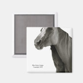 Beveiliging en comfort magneet (Voorkant / Achterkant)