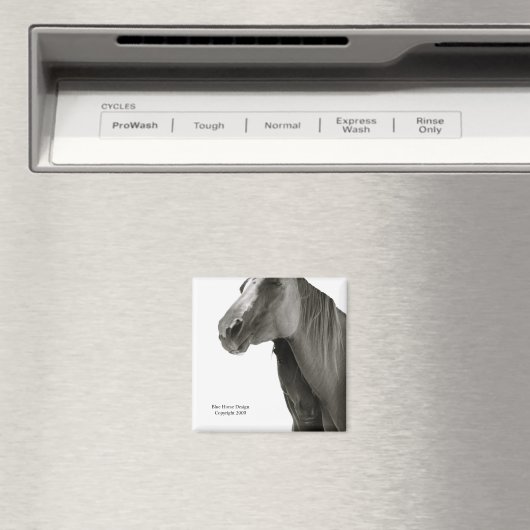 Beveiliging en comfort magneet (Insitu (Vaatwasser))