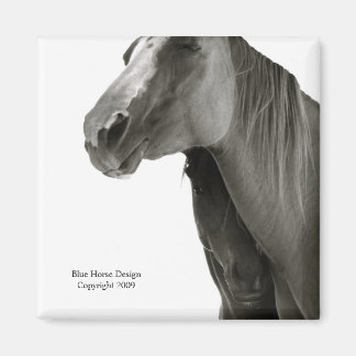 Beveiliging en comfort magneet