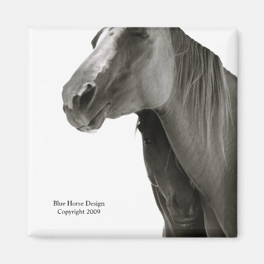 Beveiliging en comfort magneet (Voorkant)