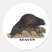 Bever 1814 ronde sticker (Voorkant)