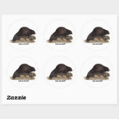 Bever 1814 ronde sticker (Vel)