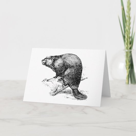 Bever #1 kaart (Voorkant)