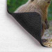 Bever bewondert zijn gebeeldhouwde gitaar op een b muismat (Hoek)