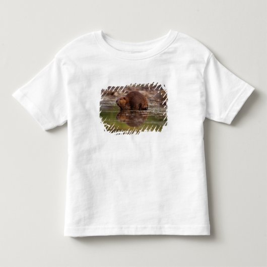 bever, Castor canadensis, gaat zwemmen Kinder Shirts (Voorkant)