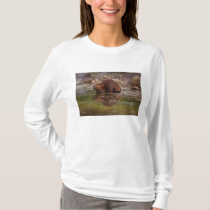 bever, Castor canadensis, gaat zwemmen T-shirt
