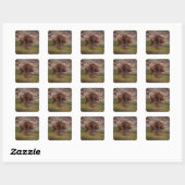 bever, Castor canadensis, gaat zwemmen Vierkante Sticker (Vel)