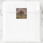 bever, Castor canadensis, gaat zwemmen Vierkante Sticker (Tas)