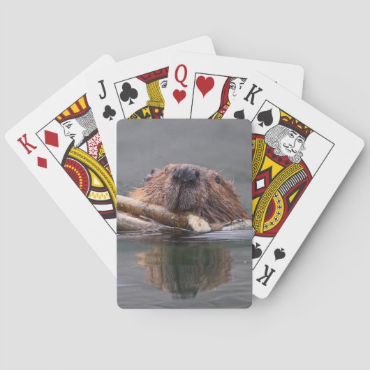 bever pokerkaarten (Achterkant)