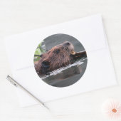 bever ronde sticker (Envelop)